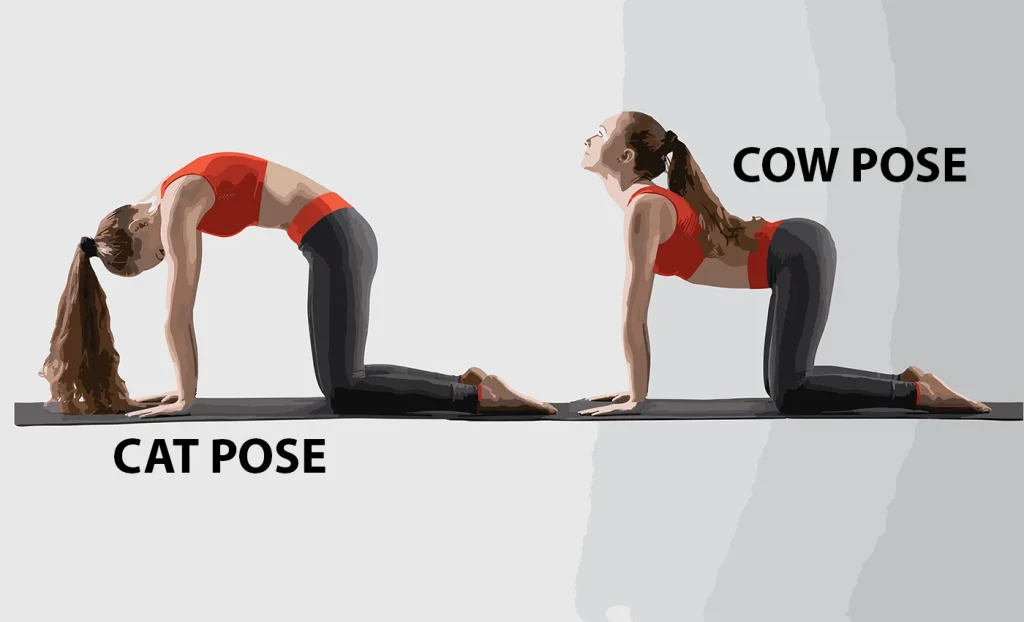 MANY benefits to cat cow pose. Practice daily to see just how much it ... |  TikTok