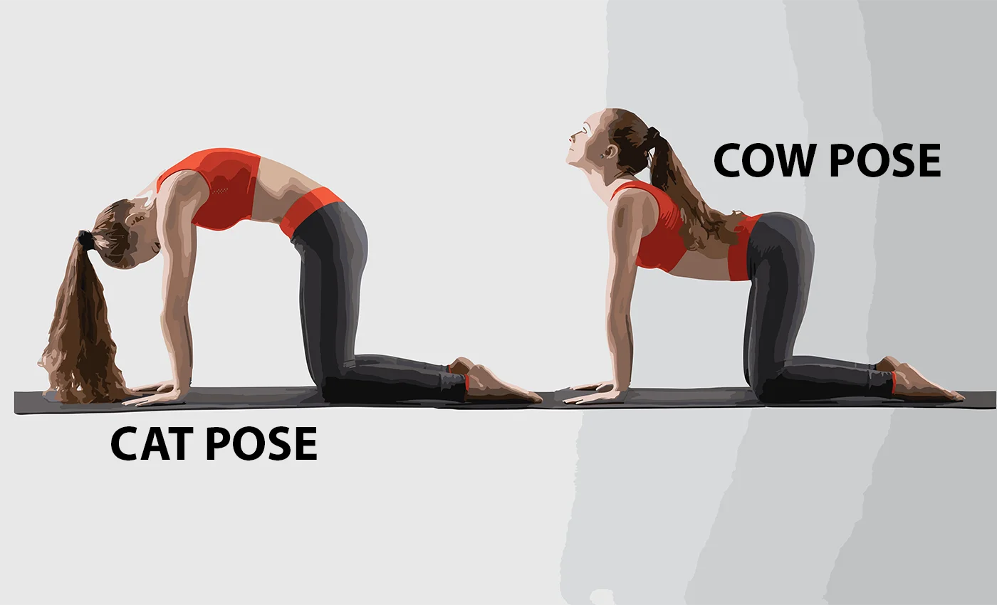 cow pose yoga - Womens Movement